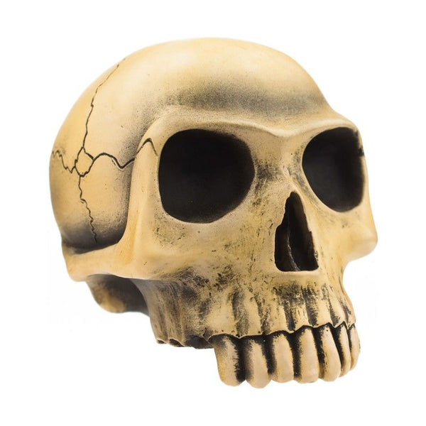 Richard Cranium - Bone Shift Knob
