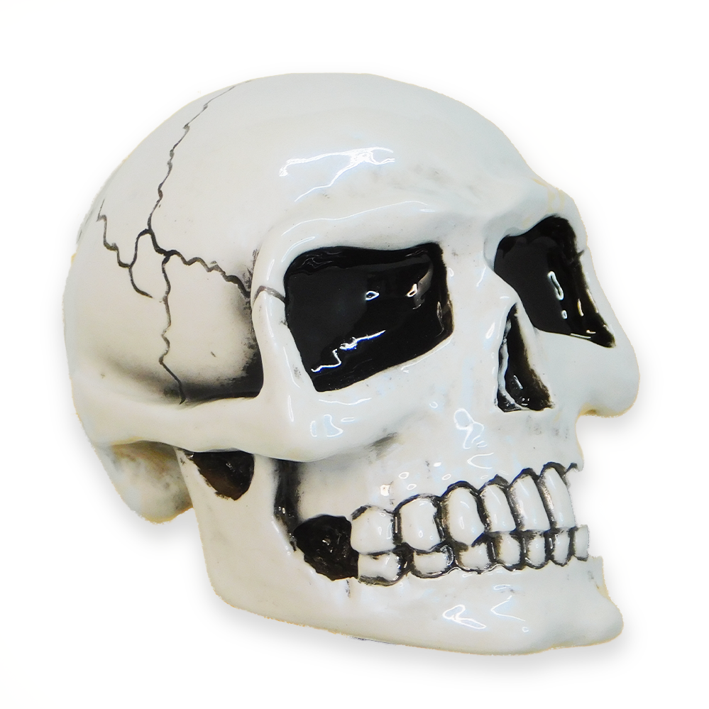 Small Skull - Pearl White Shfit Knob – Twisted ShifterZ