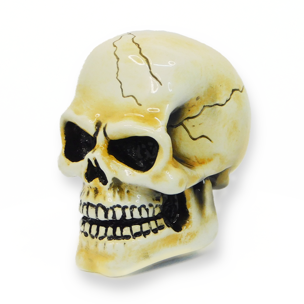 Arnold Skull-Bone Shift Knob