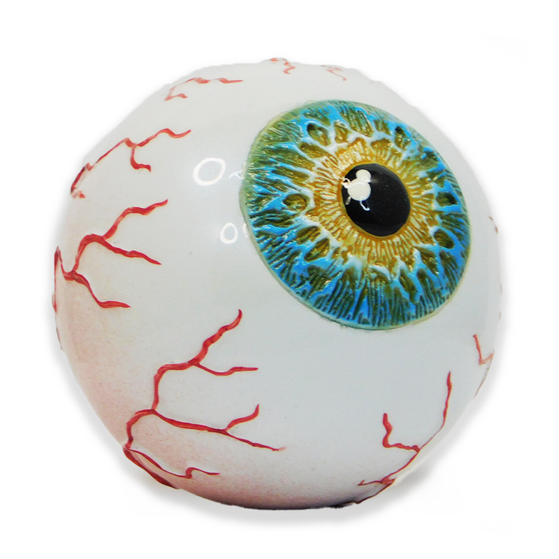 Eye Ball Knob - Hazel Shift Knob