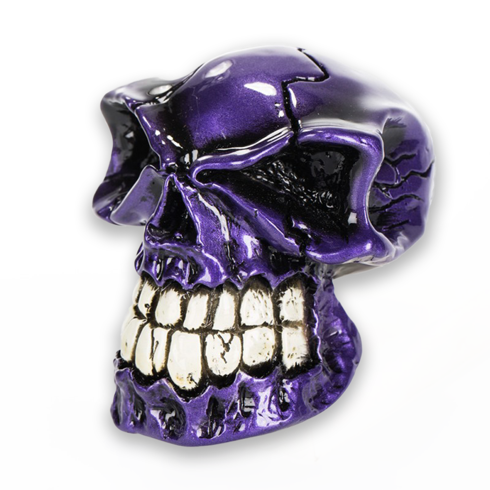 Lenny - Purple Shift Knob