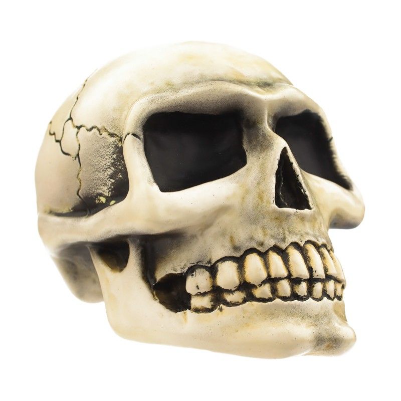 Small Skull - Bone Shift Knob