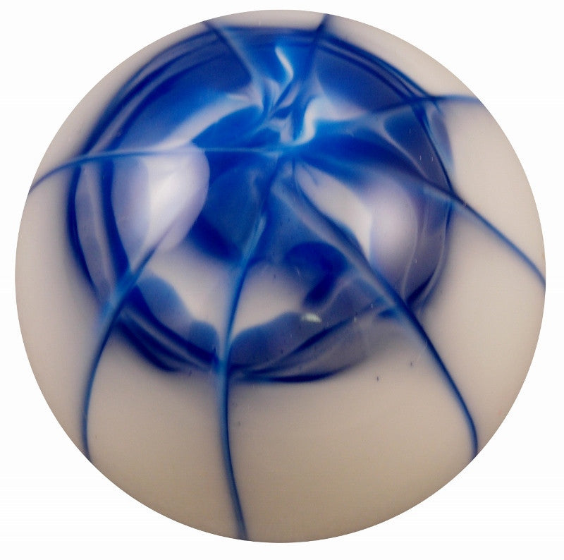 Splash White w/ Blue Brake Knob